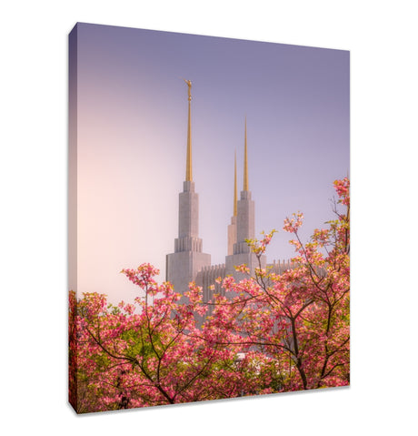 Washington DC Temple - Spires and Blooms