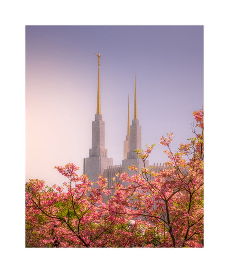 Washington DC Temple - Spires and Blooms