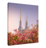 Washington DC Temple - Spires and Blooms