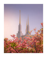 Washington DC Temple - Spires and Blooms