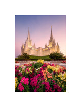 San Diego Temple - Blooming Grace
