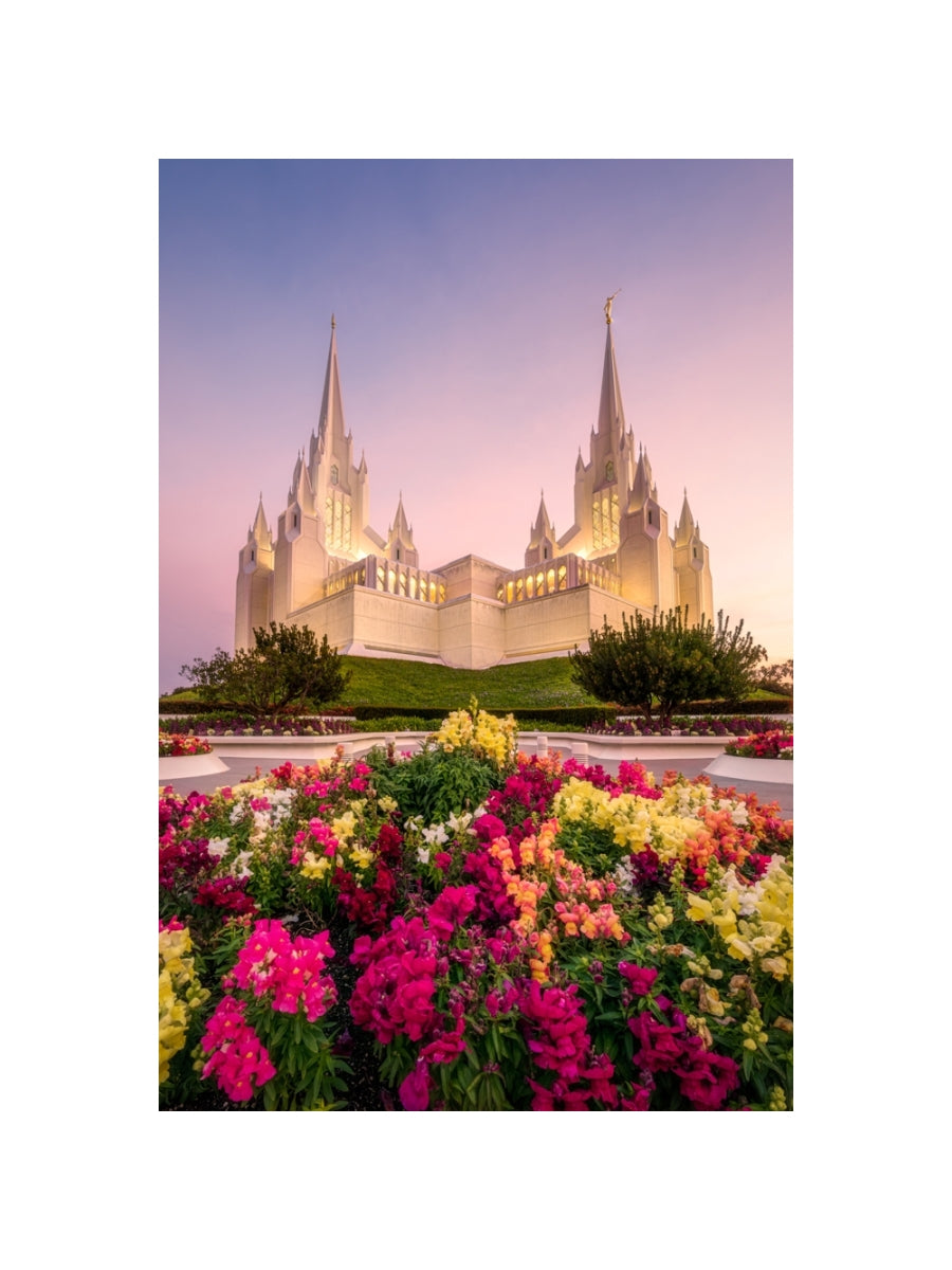 San Diego Temple - Blooming Grace
