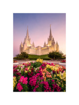 San Diego Temple - Blooming Grace