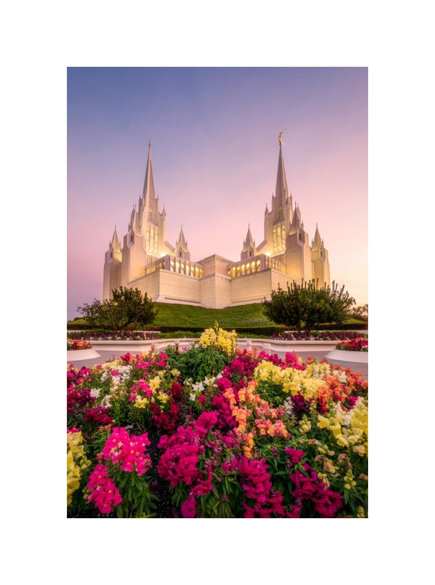 San Diego Temple - Blooming Grace