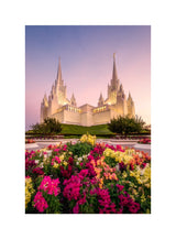 San Diego Temple - Blooming Grace