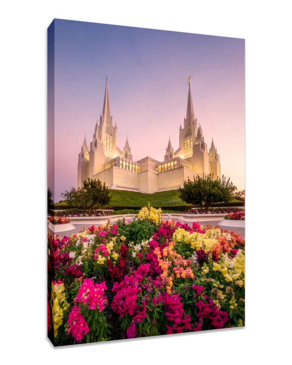 San Diego Temple - Blooming Grace