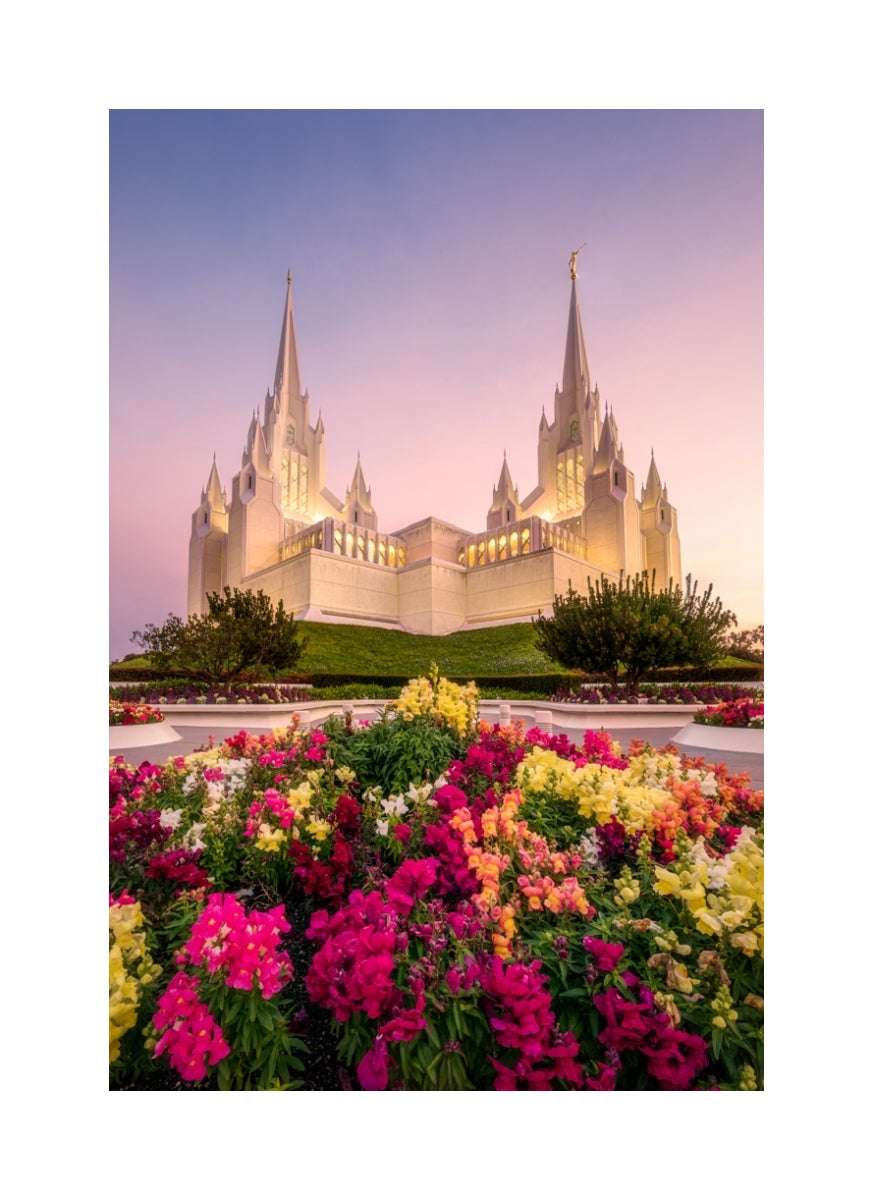San Diego Temple - Blooming Grace
