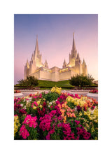 San Diego Temple - Blooming Grace