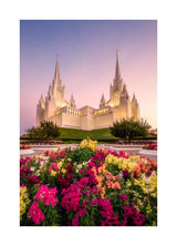 San Diego Temple - Blooming Grace
