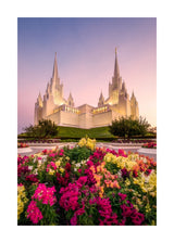 San Diego Temple - Blooming Grace