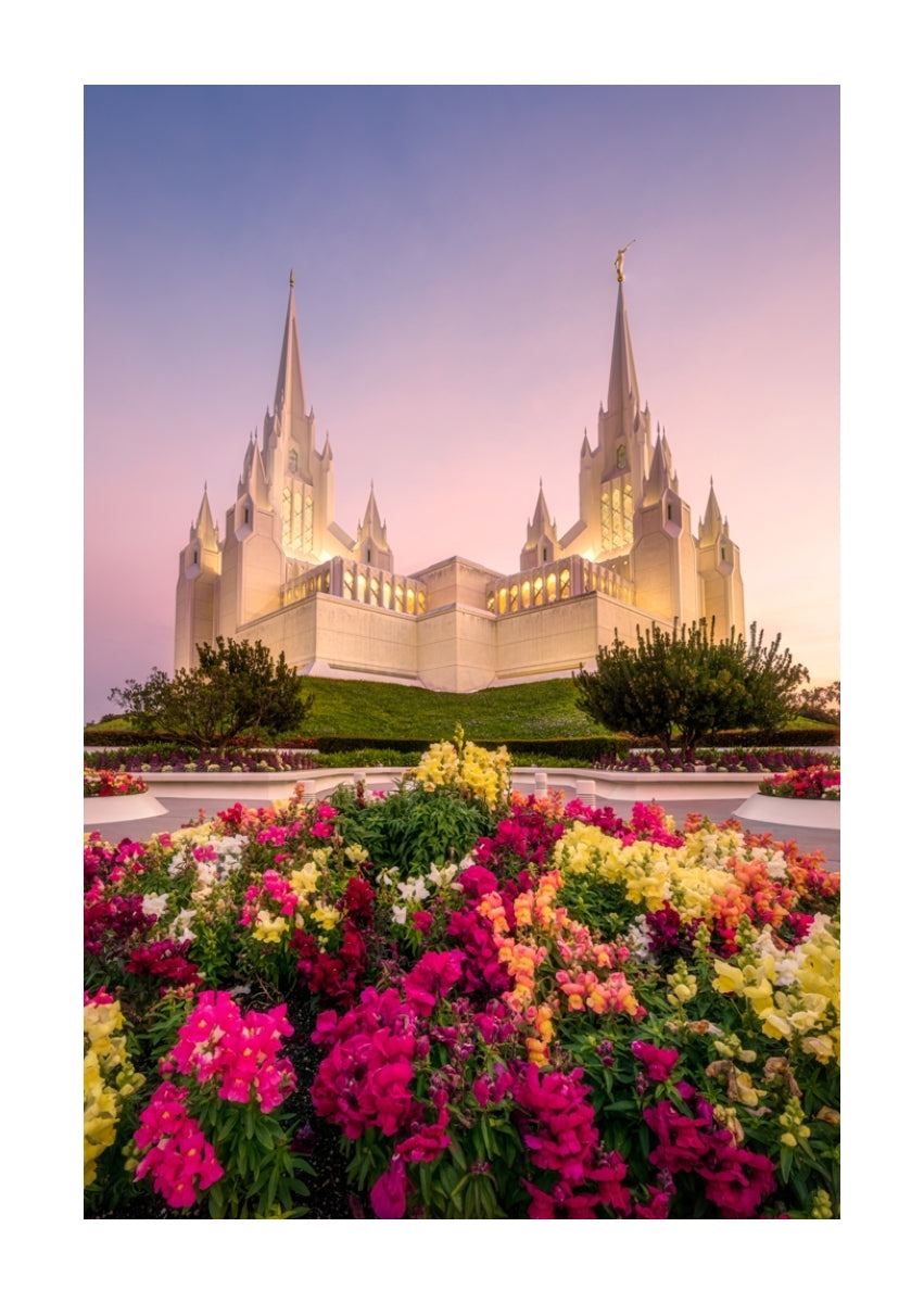 San Diego Temple - Blooming Grace