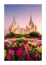 San Diego Temple - Blooming Grace