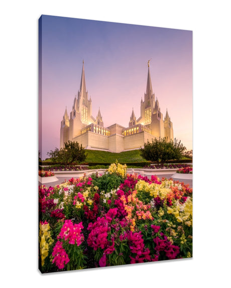 San Diego Temple - Blooming Grace