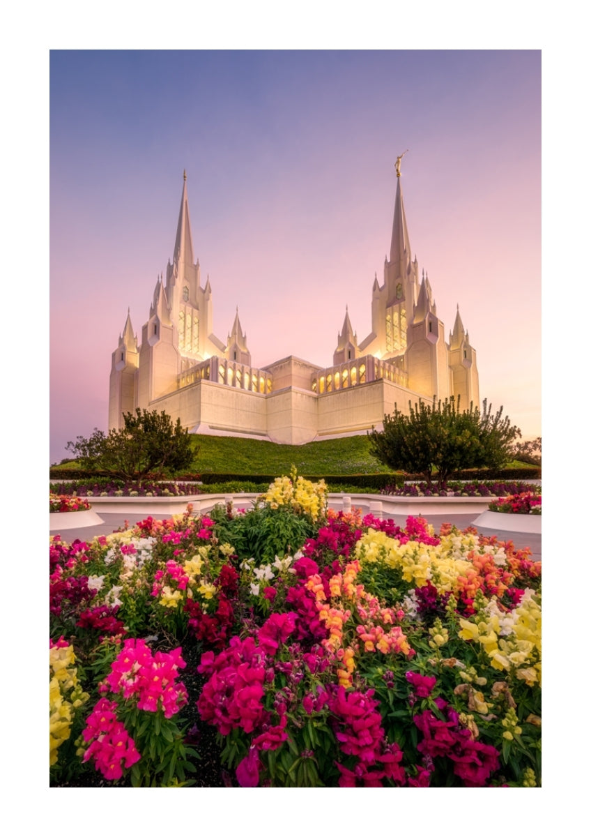 San Diego Temple - Blooming Grace