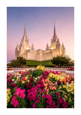 San Diego Temple - Blooming Grace