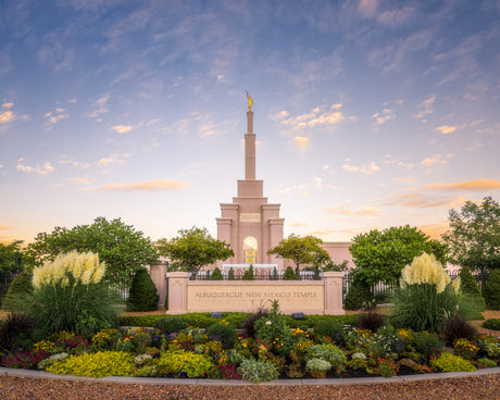 The Albuquerque New Mexico Temple with plants and a blue sky.