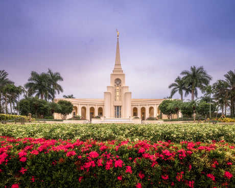 The Fort Lauderdale Florida temple with red flowers and palm trees.