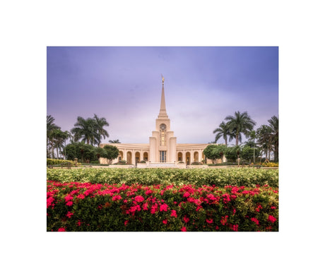 Fort Lauderdale Temple - Crimson and Sapphire