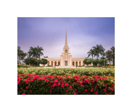Fort Lauderdale Temple - Crimson and Sapphire