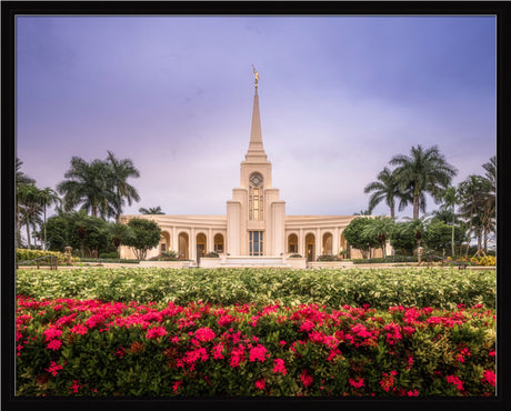 Fort Lauderdale Temple - Crimson and Sapphire