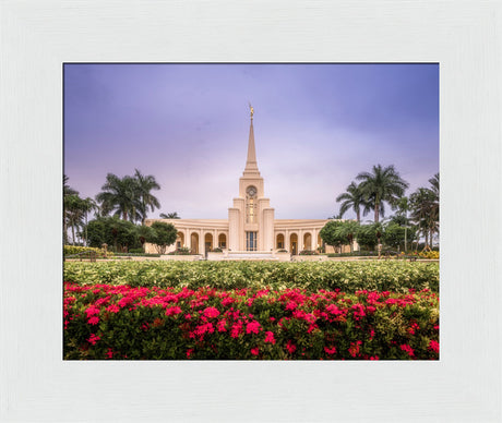 Fort Lauderdale Temple - Crimson and Sapphire