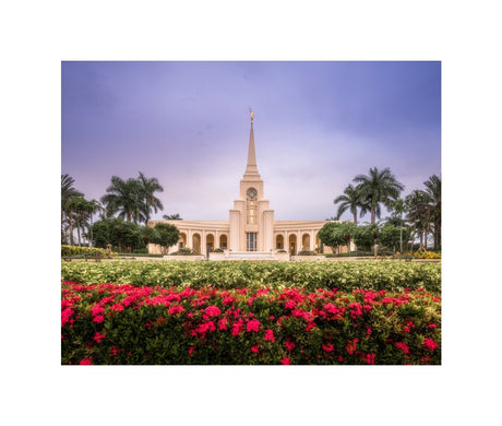 Fort Lauderdale Temple - Crimson and Sapphire