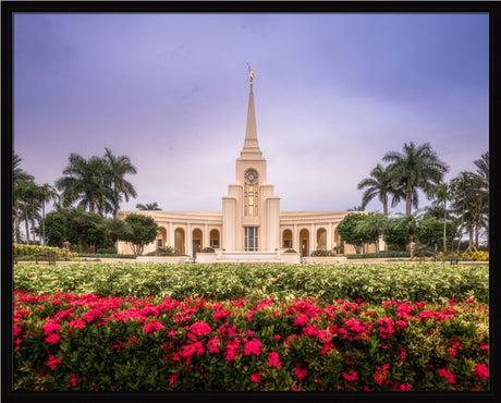 Fort Lauderdale Temple - Crimson and Sapphire