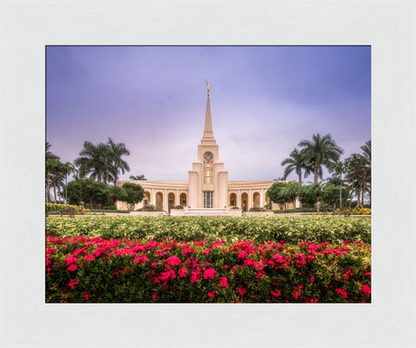 Fort Lauderdale Temple - Crimson and Sapphire