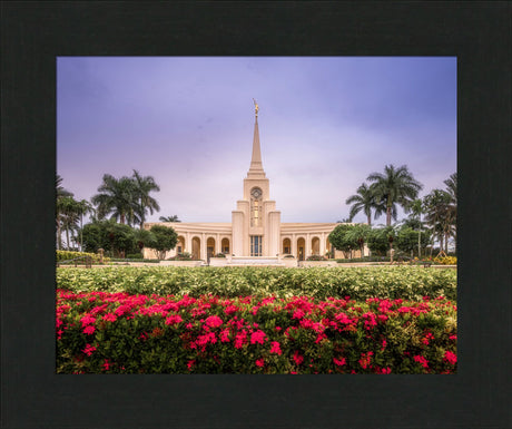 Fort Lauderdale Temple - Crimson and Sapphire