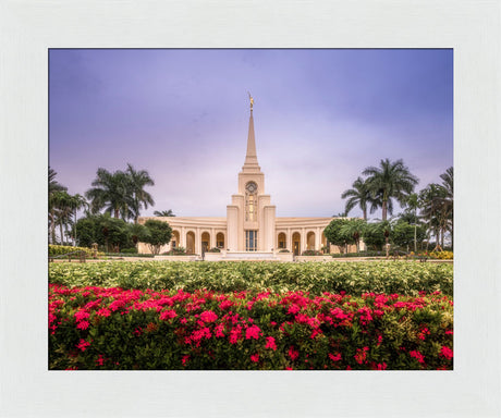 Fort Lauderdale Temple - Crimson and Sapphire