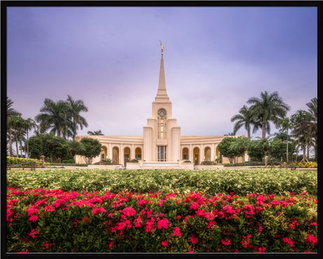 Fort Lauderdale Temple - Crimson and Sapphire