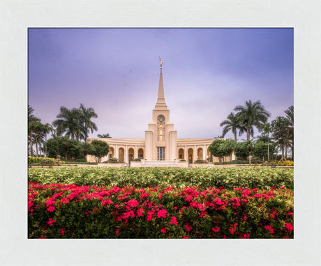 Fort Lauderdale Temple - Crimson and Sapphire