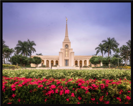 Fort Lauderdale Temple - Crimson and Sapphire