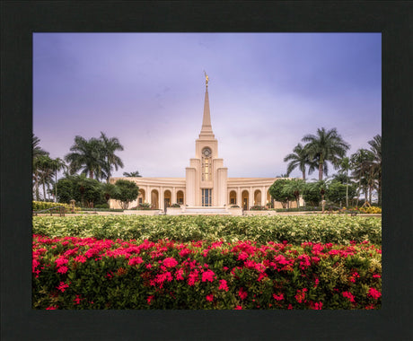 Fort Lauderdale Temple - Crimson and Sapphire