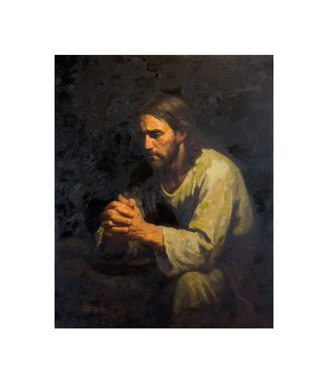 The Willing Son