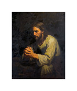 The Willing Son