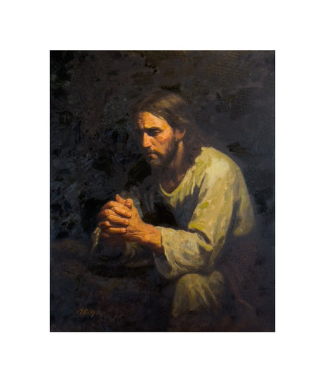The Willing Son