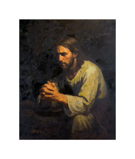 The Willing Son