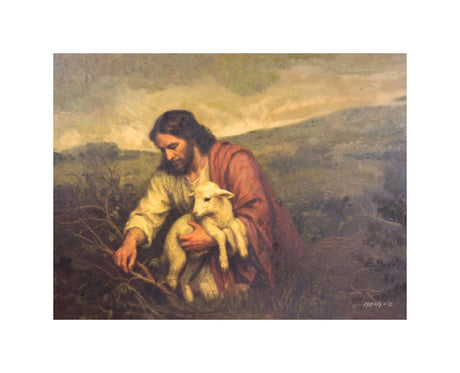 Wandering Lamb