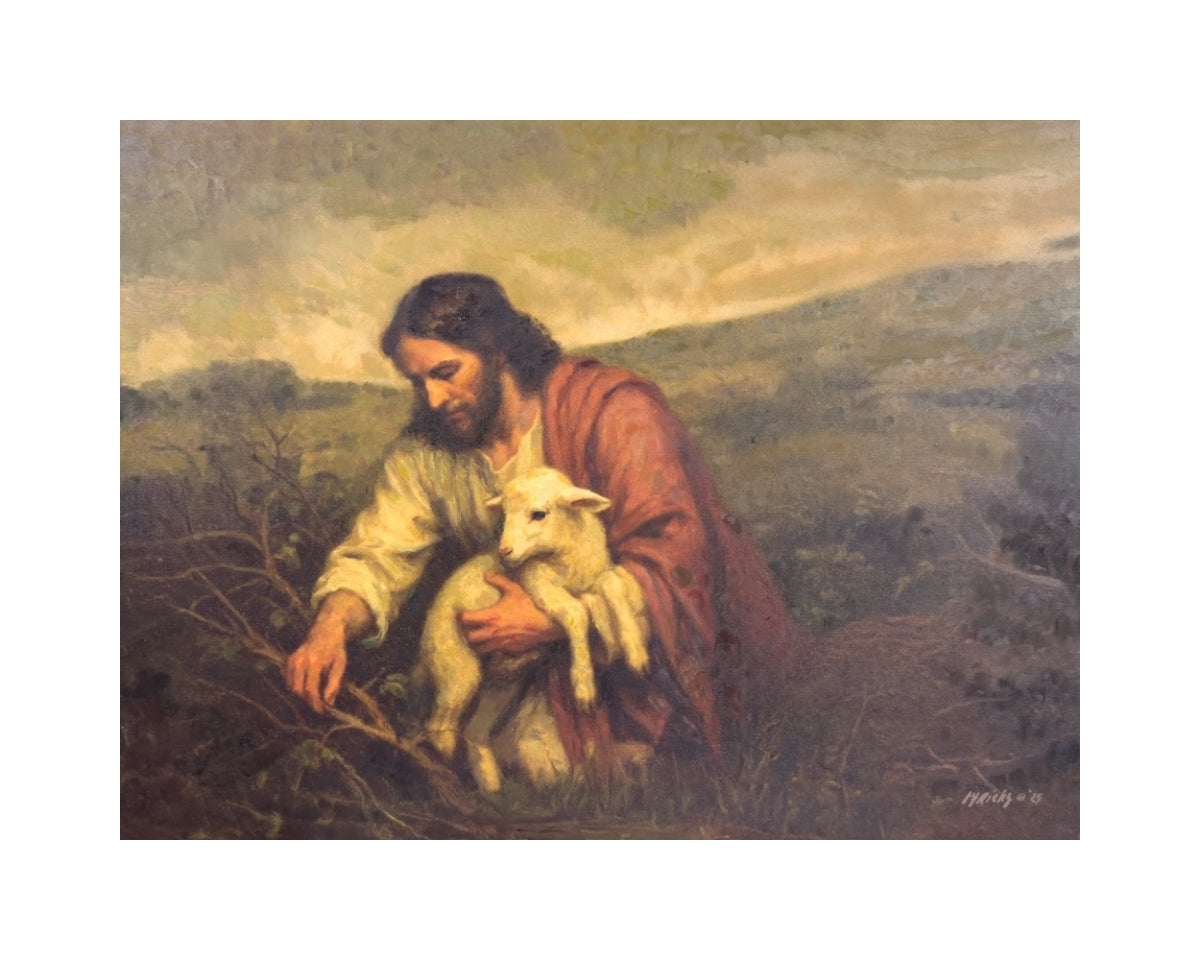Wandering Lamb