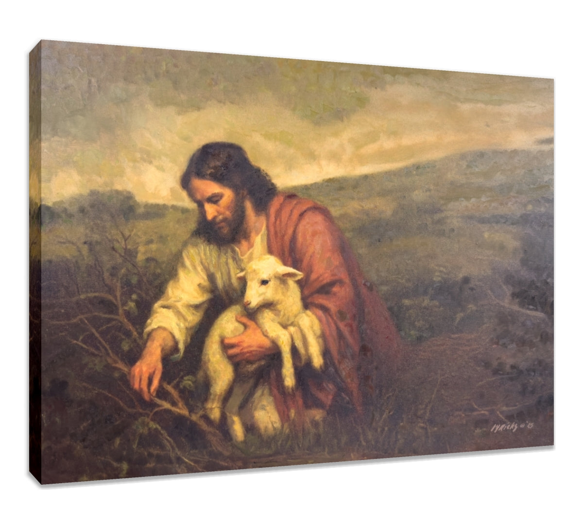 Wandering Lamb