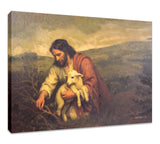Wandering Lamb