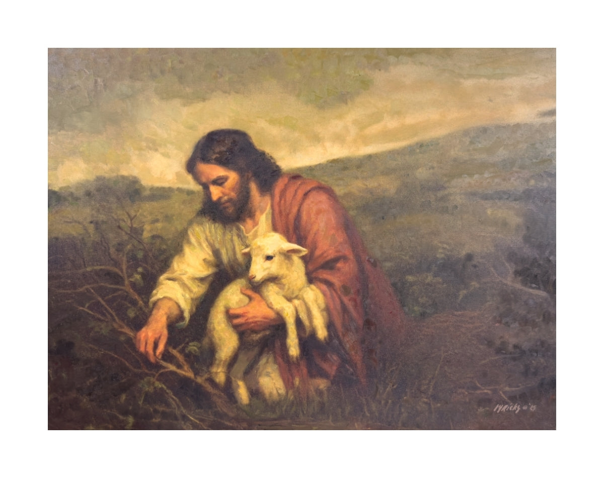 Wandering Lamb