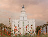 The St. George Utah temple with red flowers.