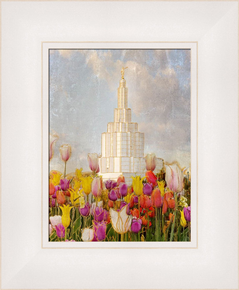 Idaho Falls Temple - Tulips by Mandy Jane Williams | Altus Fine Art