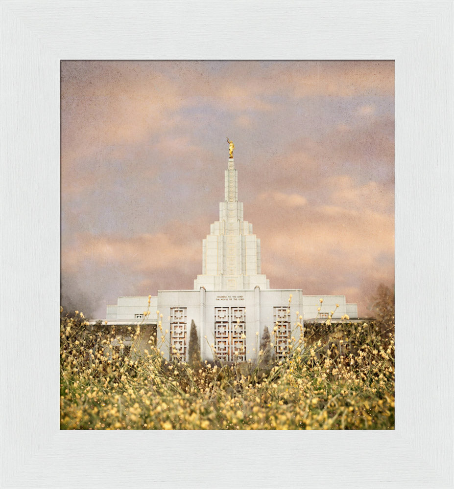 Idaho Falls Temple - Giving Rest by Mandy Jane Williams