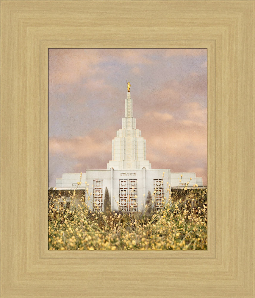 Idaho Falls Temple - Giving Rest by Mandy Jane Williams