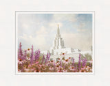 Idaho Falls Temple- Purple Flower