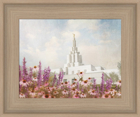 Idaho Falls Temple- Purple Flower