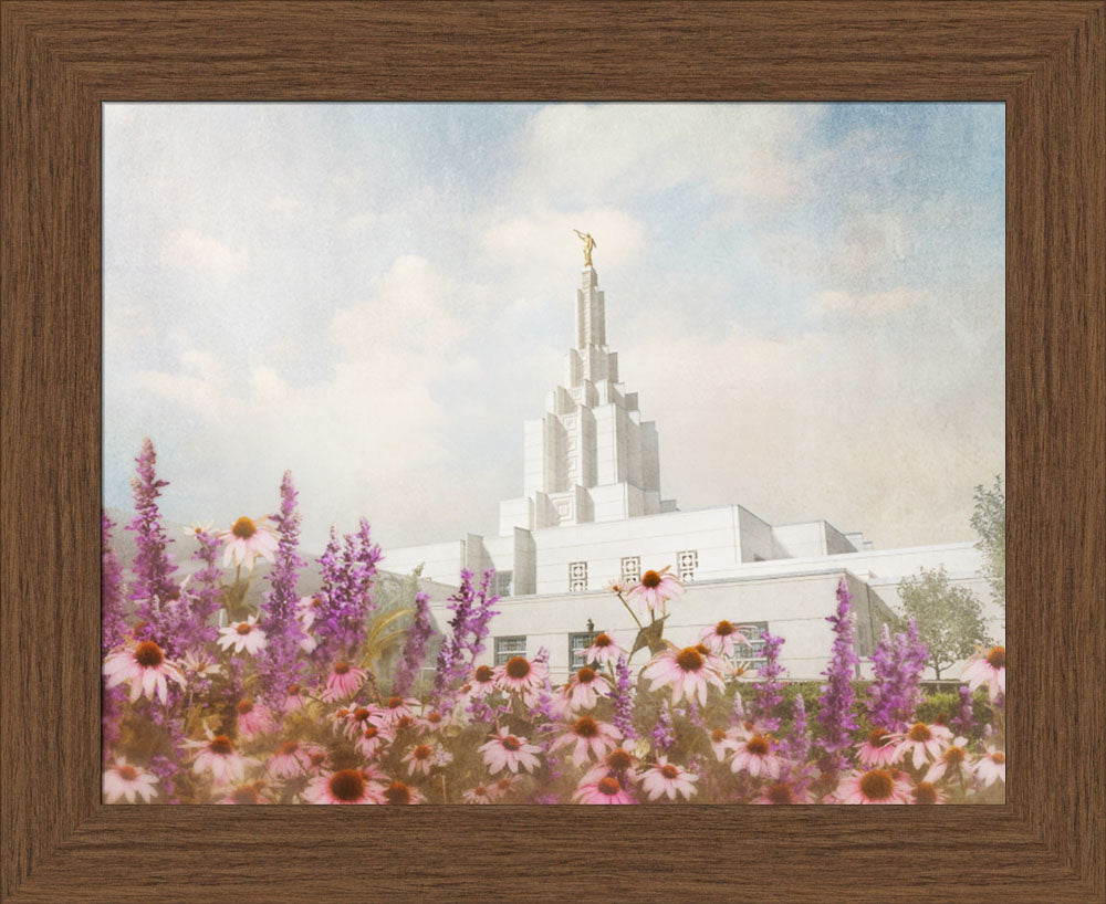 Idaho Falls Temple- Purple Flower